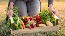 В ЕЭК назвали срок соглашения об органической продукции в ЕАЭС